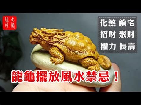 龍龜淨化|水晶龍龜有什麼好處？風水作用、擺放指南與保養秘訣